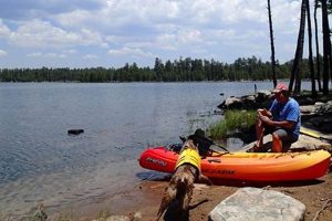 Your Dog River Raft Adventure: Tips & Gear! Your Ultimate Guide to Rafting Adventures, Gear & River Trips Your Dog River Raft Adventure: Tips & Gear! | Your Ultimate Guide to Rafting Adventures, Gear & River Trips