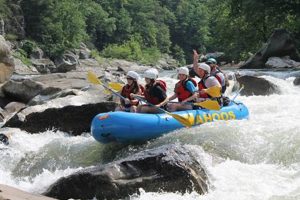 Thrilling White Water Rafting Nolichucky Adventures Await! | Your Ultimate Guide to Rafting Adventures, Gear & River Trips