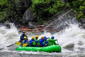 Fun Rafting Near Mammoth Cave: Tours &amp; Adventure! | Your Ultimate Guide to Rafting Adventures, Gear & River Trips