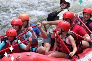 Knoxville Rafting: Thrilling White Water Adventures in TN | Your Ultimate Guide to Rafting Adventures, Gear & River Trips