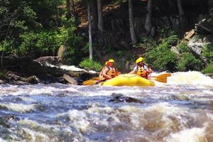 Guide to Michigan Whitewater Rafting | Thrills & Safety | Your Ultimate Guide to Rafting Adventures, Gear & River Trips