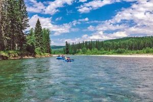 Kalispell White Water Rafting: Thrills & Tours Near You | Your Ultimate Guide to Rafting Adventures, Gear & River Trips