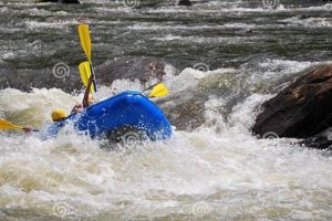 Will White Water Rafting Olympics Ever Happen? | Your Ultimate Guide to Rafting Adventures, Gear & River Trips