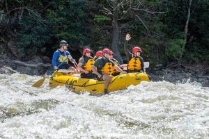 Thrilling French Broad Gorge Whitewater Rafting Trip: Adventure Awaits! | Your Ultimate Guide to Rafting Adventures, Gear & River Trips