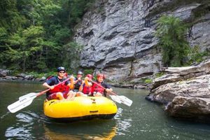 Guide to Chattooga River Rafting Section 4 | Trip Tips | Your Ultimate Guide to Rafting Adventures, Gear & River Trips