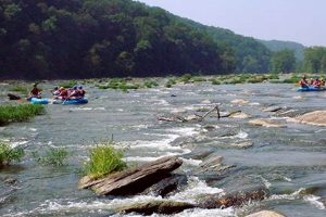 Shenandoah River Rafting: A Valley Adventure! | Your Ultimate Guide to Rafting Adventures, Gear & River Trips