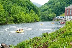 Pigeon Forge Whitewater Rafting: Your Smoky Mountain Thrill! | Your Ultimate Guide to Rafting Adventures, Gear & River Trips