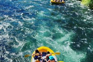 Guide to Rafting the McKenzie River Safely! | Your Ultimate Guide to Rafting Adventures, Gear & River Trips