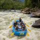 Plan New River Gorge Rafting Trips! Adventure Awaits | Your Ultimate Guide to Rafting Adventures, Gear & River Trips