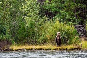 Explore Canadian Outback Rafting Co. Adventures Now! | Your Ultimate Guide to Rafting Adventures, Gear & River Trips