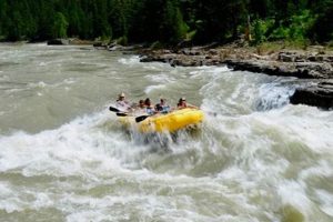 Plan Your Trip: Snake River Rafting Tours & Adventure! | Your Ultimate Guide to Rafting Adventures, Gear & River Trips