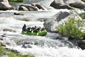 Experience Sequoia River Rafting: Tours & Adventures | Your Ultimate Guide to Rafting Adventures, Gear & River Trips