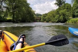 Your Guide to Toccoa River Rafting Adventures! | Your Ultimate Guide to Rafting Adventures, Gear & River Trips