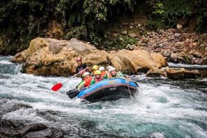 New Zealand Rafting: Tongariro vs Rafting NZ - Review & Guide | Your Ultimate Guide to Rafting Adventures, Gear & River Trips