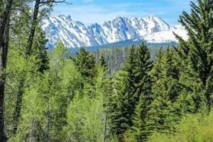 Your Breckenridge CO River Rafting Adventure Awaits! | Your Ultimate Guide to Rafting Adventures, Gear & River Trips