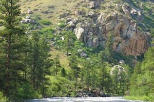 Your Estes Park Whitewater Rafting Adventure Awaits! | Your Ultimate Guide to Rafting Adventures, Gear & River Trips