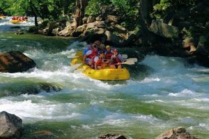 Best Rafting Near Cashiers NC: Trip Planning Guide | Your Ultimate Guide to Rafting Adventures, Gear & River Trips