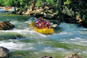 Lake Lure Whitewater Rafting NC: Thrills & Adventure! | Your Ultimate Guide to Rafting Adventures, Gear & River Trips