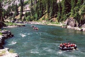 Your Ultimate White Water Rafting Jackson Hole Guide | Your Ultimate Guide to Rafting Adventures, Gear & River Trips