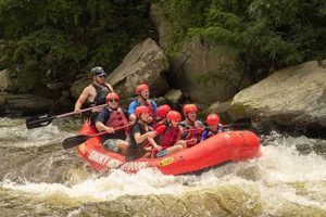 Smoky Mountains River Rafting: Thrills & Tours! | Your Ultimate Guide to Rafting Adventures, Gear & River Trips