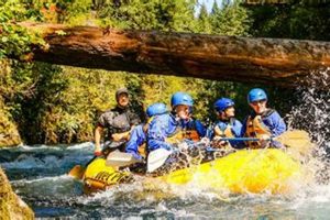 WA's Thrilling Whitewater Rafting Adventures! Trips & Info | Your Ultimate Guide to Rafting Adventures, Gear & River Trips