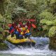 Discover Black Water Rafting New Zealand: Tours & Caves | Your Ultimate Guide to Rafting Adventures, Gear & River Trips