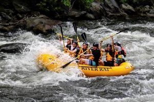 The Best White Water Rafting in Townsend, TN: Trips &amp; More | Your Ultimate Guide to Rafting Adventures, Gear & River Trips