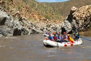 Your Ultimate Arizona White Water Rafting Salt River Guide! | Your Ultimate Guide to Rafting Adventures, Gear & River Trips