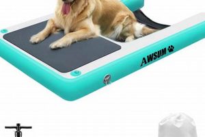 Safe Dog Rafts for Water Fun: A Buyer's Guide | Your Ultimate Guide to Rafting Adventures, Gear & River Trips