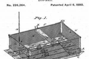 Life Saver: Who Invented the Life Raft? History & Facts | Your Ultimate Guide to Rafting Adventures, Gear & River Trips