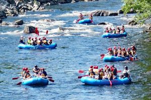 Your Ultimate Deerfield River Rafting Adventure Guide | Your Ultimate Guide to Rafting Adventures, Gear & River Trips