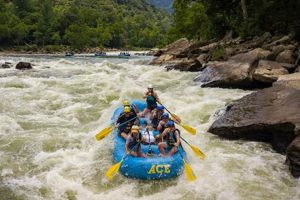 Thrilling: New River Gorge Whitewater Rafting Adventure Now! | Your Ultimate Guide to Rafting Adventures, Gear & River Trips