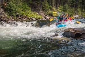 Guide to Rafting the Middle Fork of the Salmon River Trip | Your Ultimate Guide to Rafting Adventures, Gear & River Trips