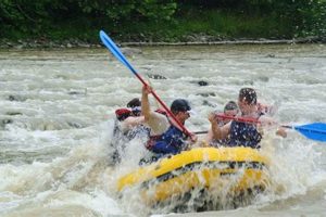 Your Guide: White Water Rafting in Letchworth State Park Fun Your Ultimate Guide to Rafting Adventures, Gear & River Trips Your Guide: White Water Rafting in Letchworth State Park Fun | Your Ultimate Guide to Rafting Adventures, Gear & River Trips