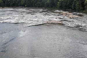 Youghiogheny River: Rafting Deaths & Safety Tips | Your Ultimate Guide to Rafting Adventures, Gear & River Trips