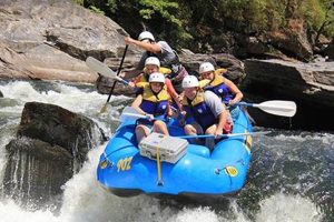 Your Guide: White Water Rafting Chattooga Adventures! | Your Ultimate Guide to Rafting Adventures, Gear & River Trips