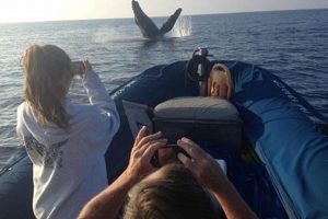 Best Blue Water Rafting Reviews: Trips &amp; Tips | Your Ultimate Guide to Rafting Adventures, Gear & River Trips