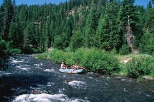 Thrilling White Water Rafting in Absarokee, MT: River Adventures! | Your Ultimate Guide to Rafting Adventures, Gear & River Trips