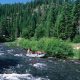 Thrilling White Water Rafting in Absarokee, MT: River Adventures! | Your Ultimate Guide to Rafting Adventures, Gear & River Trips