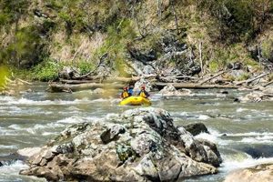 Conquer French Broad Section 9 Whitewater: Rafting Adventure! | Your Ultimate Guide to Rafting Adventures, Gear & River Trips