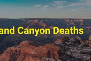 Grand Canyon Rafting Deaths: Safety Tips &amp; Prevention | Your Ultimate Guide to Rafting Adventures, Gear & River Trips