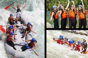Top White Water Rafting Tips: Safe & Fun! | Your Ultimate Guide to Rafting Adventures, Gear & River Trips