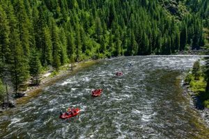 Guide to Lochsa River Rafting | Thrills & Safety | Your Ultimate Guide to Rafting Adventures, Gear & River Trips