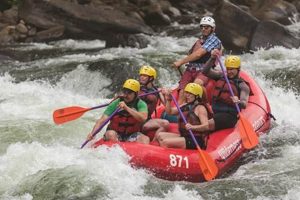 Plan Your Ohiopyle State Park Rafting Adventure Today! | Your Ultimate Guide to Rafting Adventures, Gear & River Trips