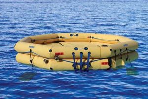 Life Raft Survival: Your Essential Guide for the Lifeboat | Your Ultimate Guide to Rafting Adventures, Gear & River Trips