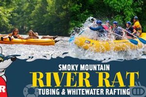 Get Your Smoky Mountain River Rat Rafting Adventure! | Your Ultimate Guide to Rafting Adventures, Gear & River Trips
