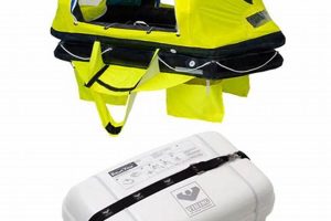 Life-Saving 6 Person Life Raft: Your Guide + Safety | Your Ultimate Guide to Rafting Adventures, Gear & River Trips
