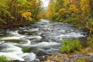Thrilling White Water Rafting in Broken Bow, OK - Adventure Awaits! | Your Ultimate Guide to Rafting Adventures, Gear & River Trips