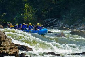 Book Your Gauley River Rafting Trips Adventure Today! | Your Ultimate Guide to Rafting Adventures, Gear & River Trips