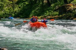 Guide to North Umpqua River Rafting Trips + Tips | Your Ultimate Guide to Rafting Adventures, Gear & River Trips
